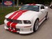 normal_Ford-Mustang_Shelby_GT500~0.jpg
